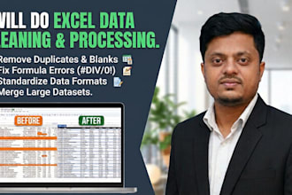 do excel data cleaning, data processing, and formatting