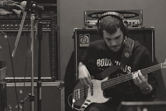 be your fretless bass player for your song