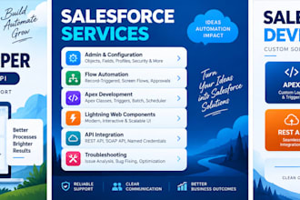 be your salesforce admin and developer for CRM customization