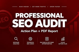 do a professional SEO audit and action plan