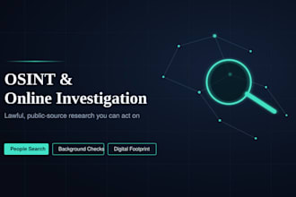 conduct professional online investigation osint research work