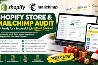do audit shopify store review mailchimp email flowas automation before christmas