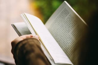 translate your novel from english to portuguese or portuguese to english