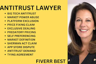be your ny, ca,nc,fl, antitrust lawyer for big tech, market power and monopolies