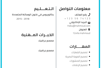 design a professional resume or cv