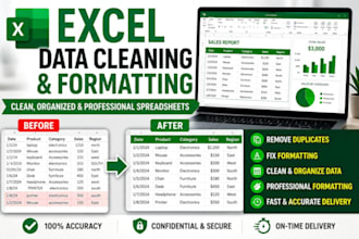 clean, organise, format and analyse your excel data