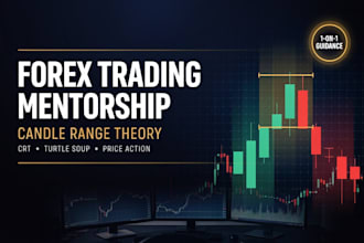 teach forex trading strategy forex mentor trading mentor day trading crt