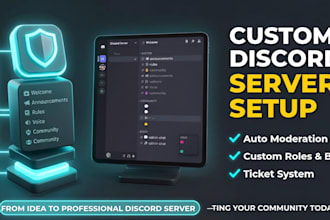 setup a professional custom discord server