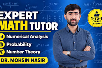 tutor numerical analysis, probability and number theory