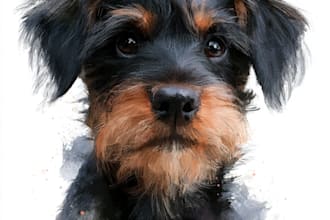 create a custom pet portrait from your favorite photo, memorial gifts