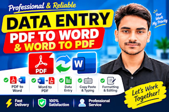 do data entry and convert PDF to word or word to PDF