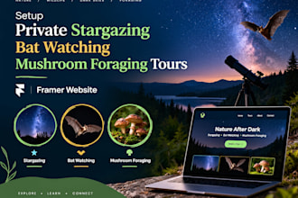 setup private stargazing bat watching mushroom foraging tours framer website