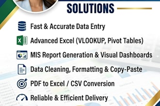 do professional data entry advanced excel and mis reporting work
