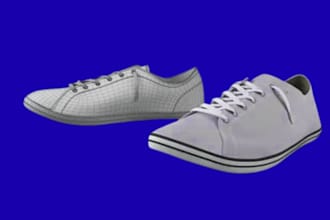 do 3d shoe writing and presentation