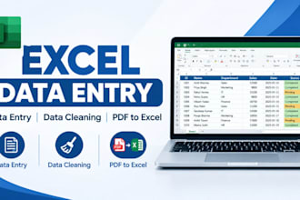 do data entry,  excel and copy paste tasks