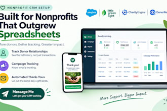 salesforce little green light charityengine donorperfect nonprofit CRM setup