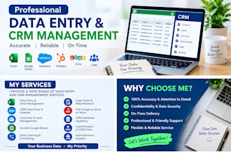 professional data entry and CRM software management