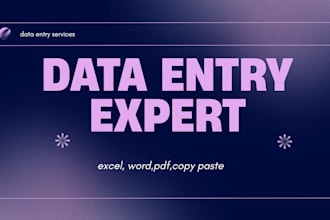 do professional data entry and excel data cleaning