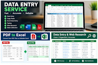 do data entry copy paste