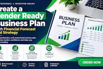 create a lender ready business plan with financial forecast and strategy