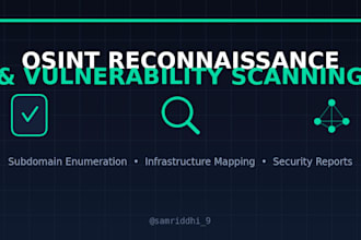 perform osint reconnaissance and vulnerability scanning