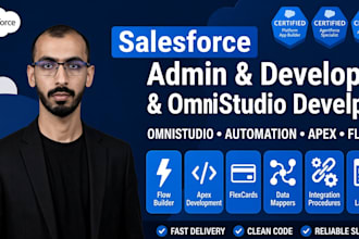 be your salesforce omnistudio developer