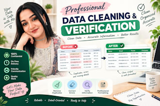 do data entry, excel spreadsheet virtual assistant