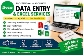 do data entry excel data entry and copy paste work