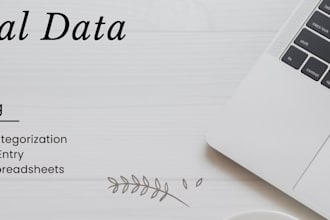 do financial data entry expense categorization and excel bookkeeping