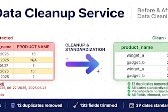 clean, dedupe and standardize your CSV file in 24 hours
