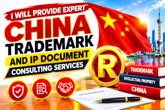 provide expert china trademark and IP document consulting services