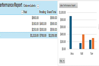 do data entry, excel spreadsheets and dashboards