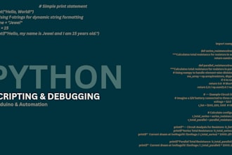 write and debug simple python scripts