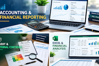 do accounting, financial reporting, excel, internal audit