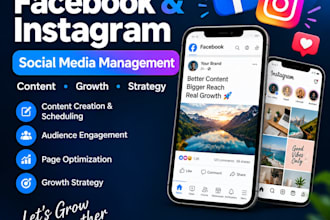 setup and manage facebook,intagram and amazone stores