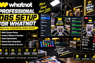 professionally setup obs studio for whatnot vertical live streaming