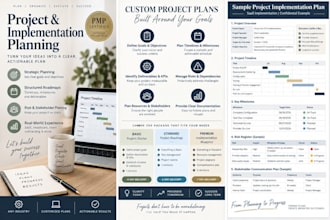create a professional project plan as a pmp certified pm