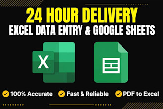 do excel data entry and google sheets 24 hours delivery