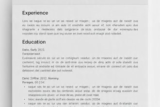 write professional CV, resume and do urdu to english translation