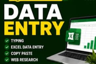 do do professional data entry excel data entry