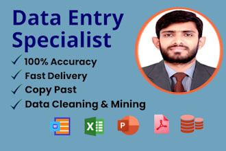 do excel data entry and web research