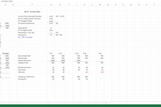 create a professional excel budget and financial forecast