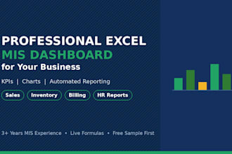 create a professional excel mis dashboard for your business