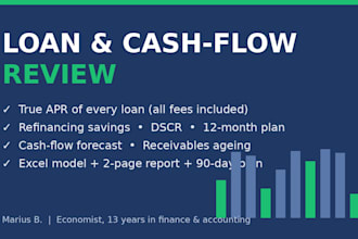 review your business loans and cash flow and show where you lose money