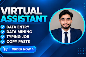 do expert virtual assistant data entry and copy paste work