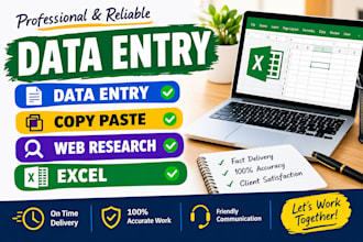 do professional data entry, copy paste, and web research work