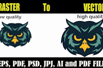 convert a raster image to a vector professionally