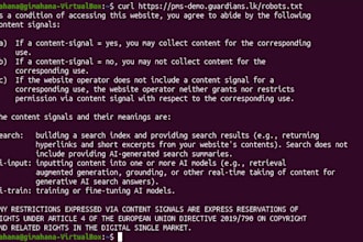 penetration testing i am a junior penetration tester