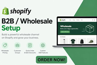 setup shopify b2b wholesale store, pricing and bulk to your shopify store