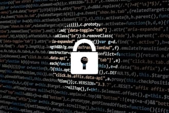 do a full website pentest